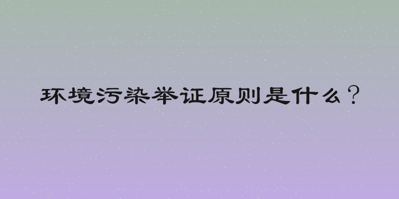 环境污染举证原则是什么?