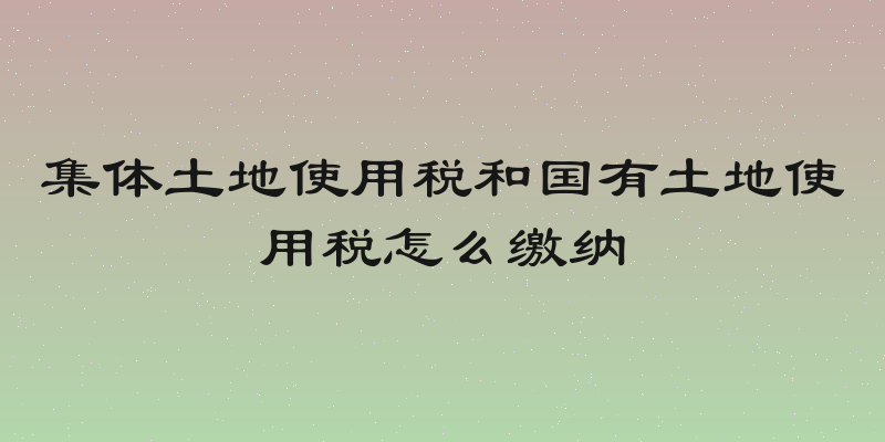 集体土地使用税和国有土地使用税怎么缴纳