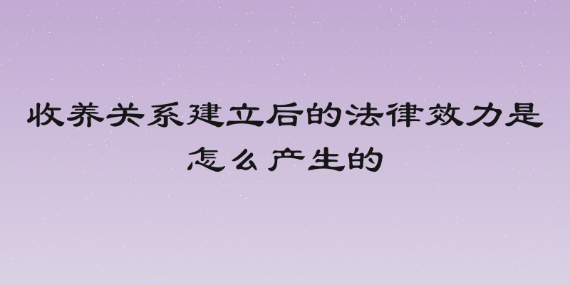收养关系建立后的法律效力是怎么产生的