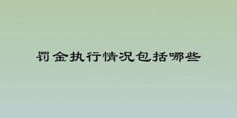 罚金执行情况包括哪些