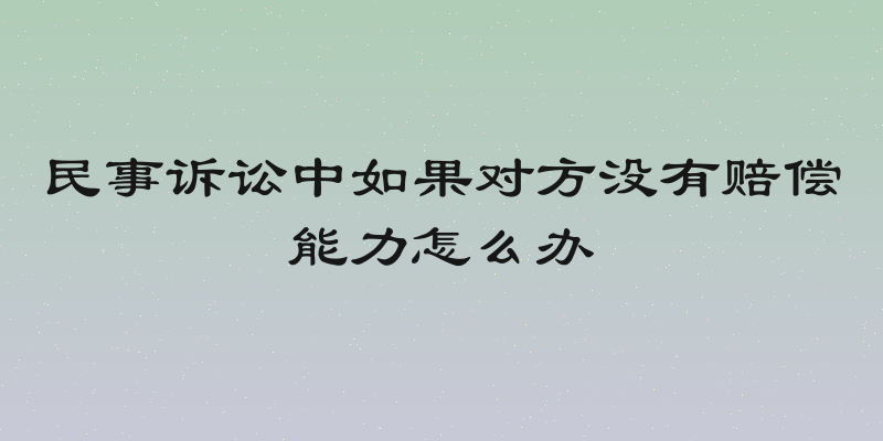 民事诉讼中如果对方没有赔偿能力怎么办