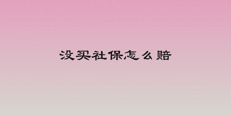 没买社保怎么赔