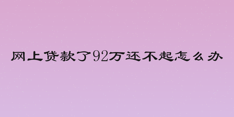网上贷款了92万还不起怎么办
