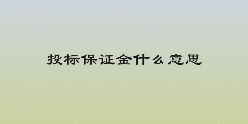 投标保证金什么意思