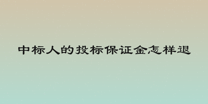 中标人的投标保证金怎样退