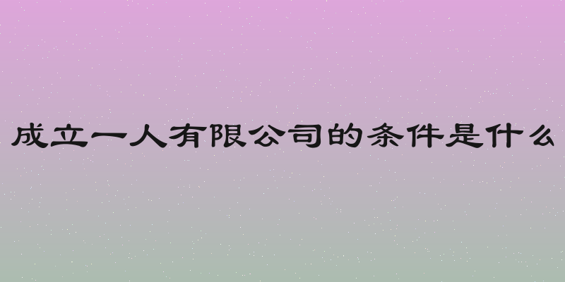 成立一人有限公司的条件是什么