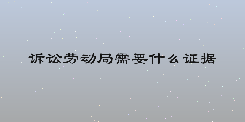诉讼劳动局需要什么证据