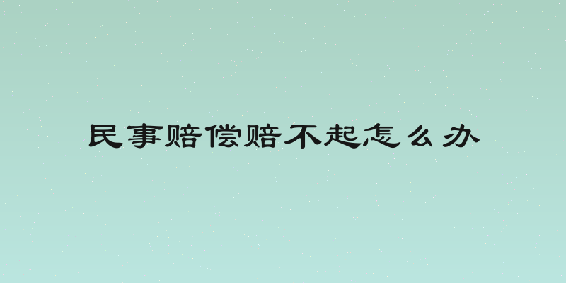 民事赔偿赔不起怎么办