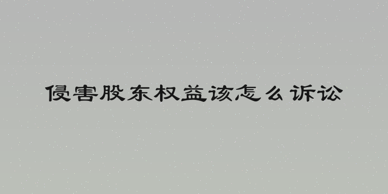 侵害股东权益该怎么诉讼