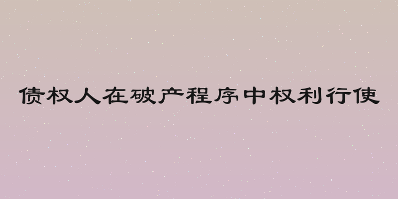 债权人在破产程序中权利行使