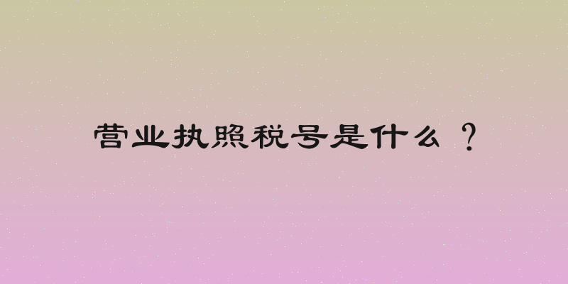 营业执照税号是什么？