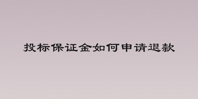 投标保证金如何申请退款