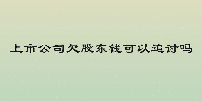 上市公司欠股东钱可以追讨吗