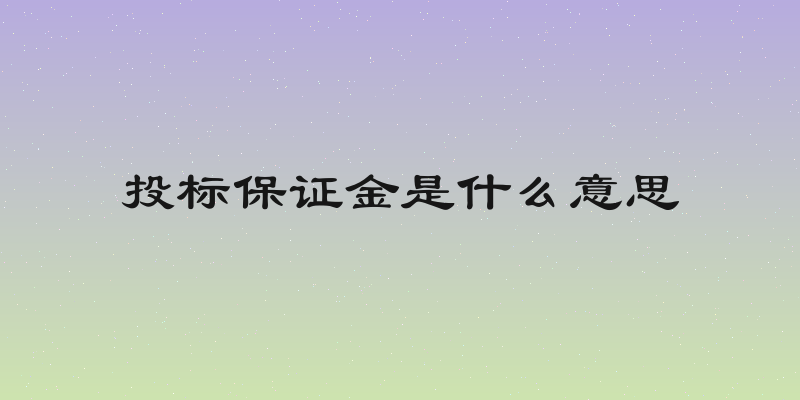 投标保证金是什么意思
