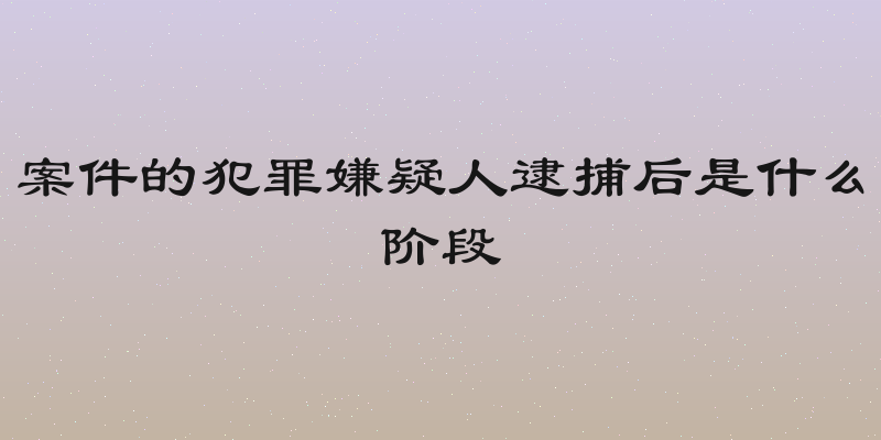 案件的犯罪嫌疑人逮捕后是什么阶段