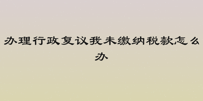 办理行政复议我未缴纳税款怎么办
