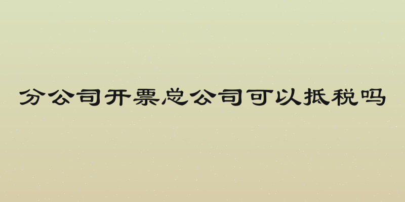 分公司开票总公司可以抵税吗