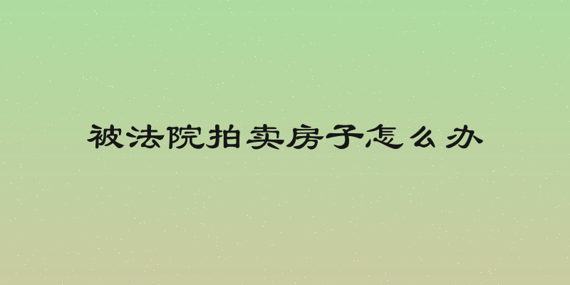 被法院拍卖房子怎么办