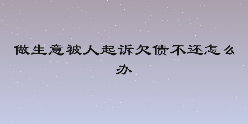 做生意被人起诉欠债不还怎么办