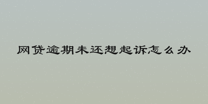 网贷逾期未还想起诉怎么办