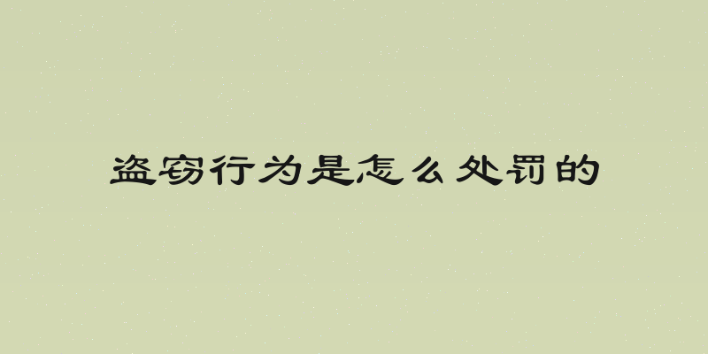 盗窃行为是怎么处罚的