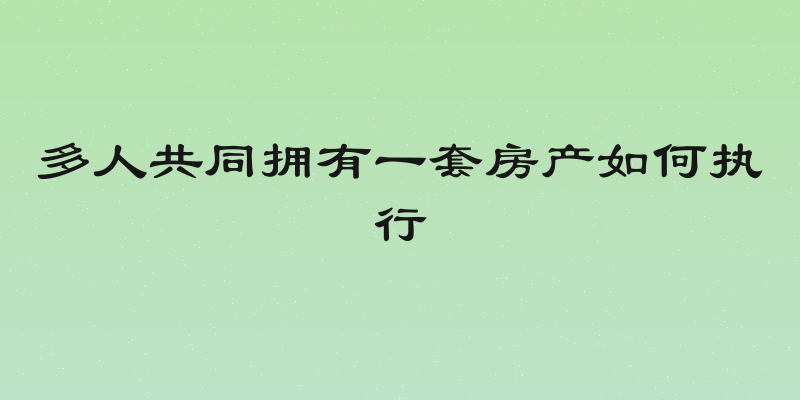 多人共同拥有一套房产如何执行