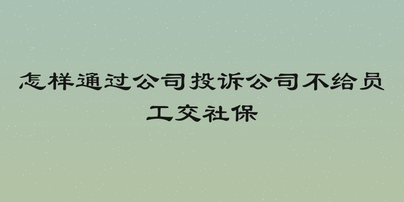 怎样通过公司投诉公司不给员工交社保