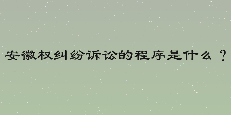 安徽权纠纷诉讼的程序是什么？