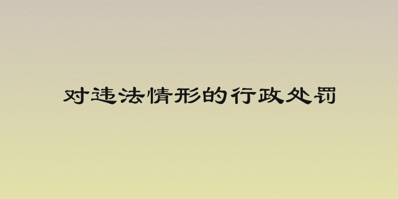 对违法情形的行政处罚