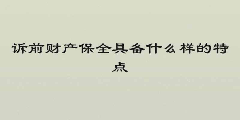 诉前财产保全具备什么样的特点