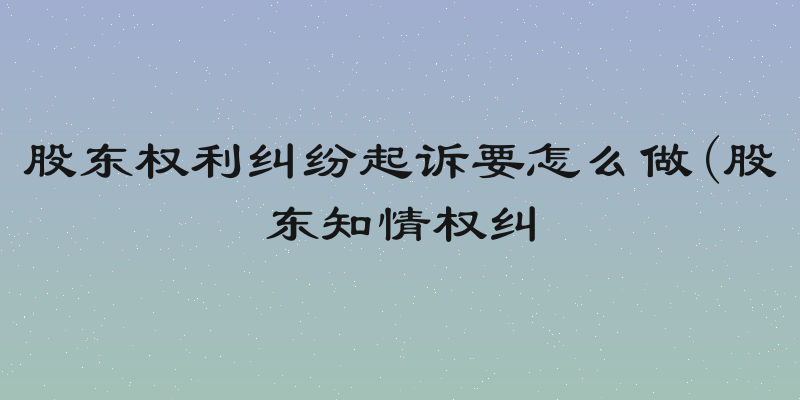 股东权利纠纷起诉要怎么做(股东知情权纠
