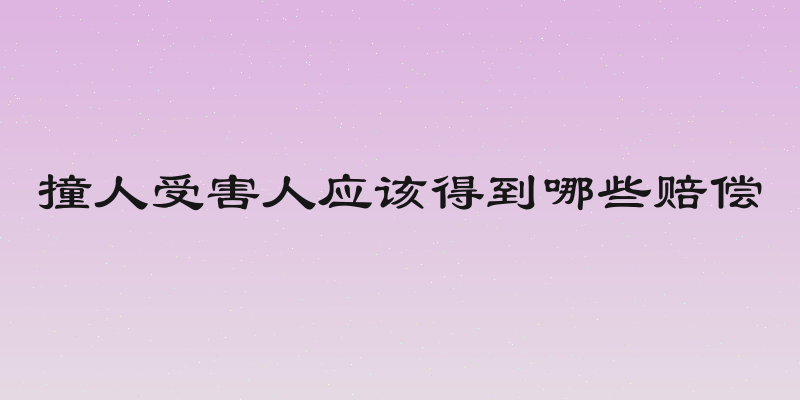 撞人受害人应该得到哪些赔偿