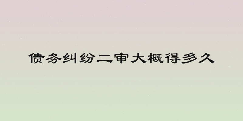 债务纠纷二审大概得多久