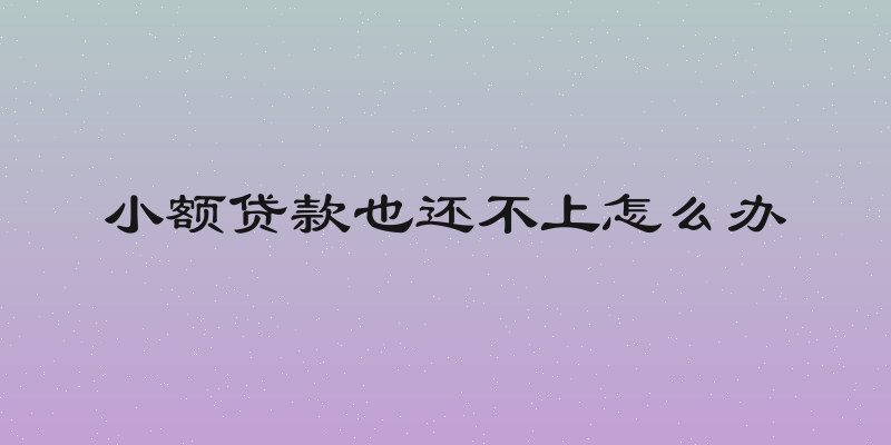 小额贷款也还不上怎么办