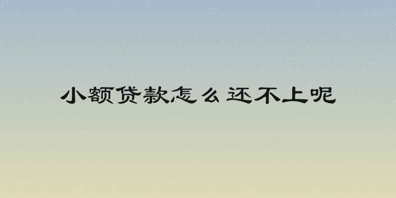 小额贷款怎么还不上呢