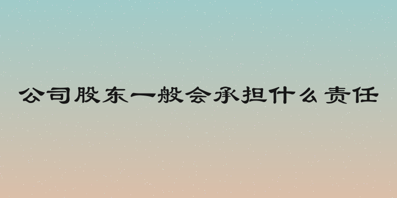 公司股东一般会承担什么责任