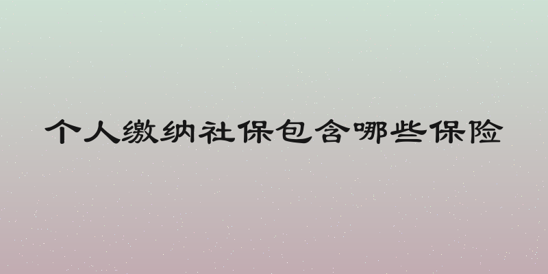 个人缴纳社保包含哪些保险