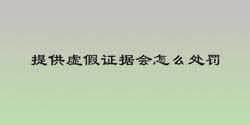 提供虚假证据会怎么处罚