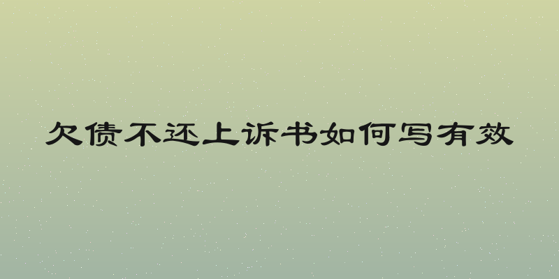 欠债不还上诉书如何写有效
