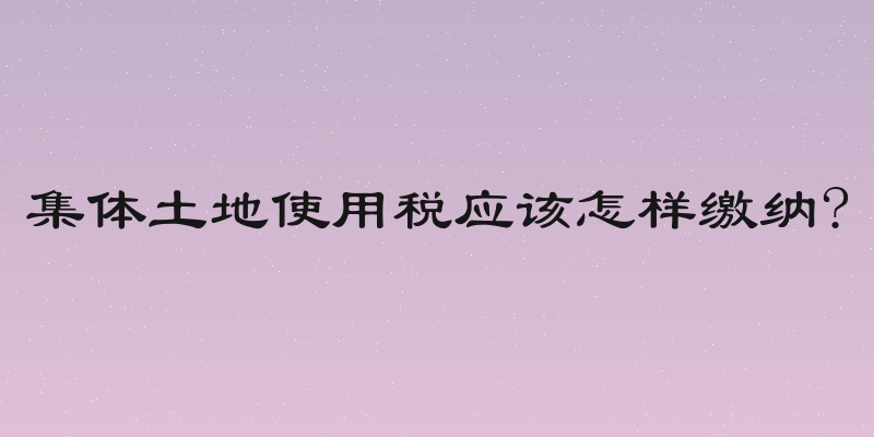 集体土地使用税应该怎样缴纳?