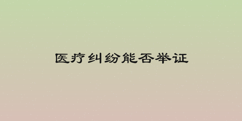 医疗纠纷能否举证