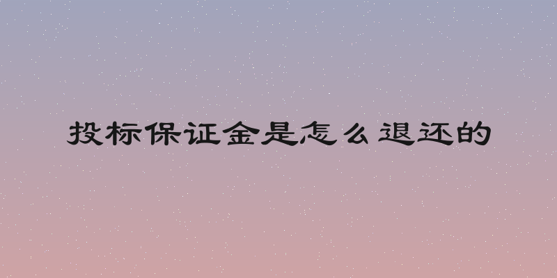 投标保证金是怎么退还的