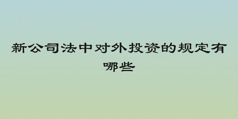 新公司法中对外投资的规定有哪些