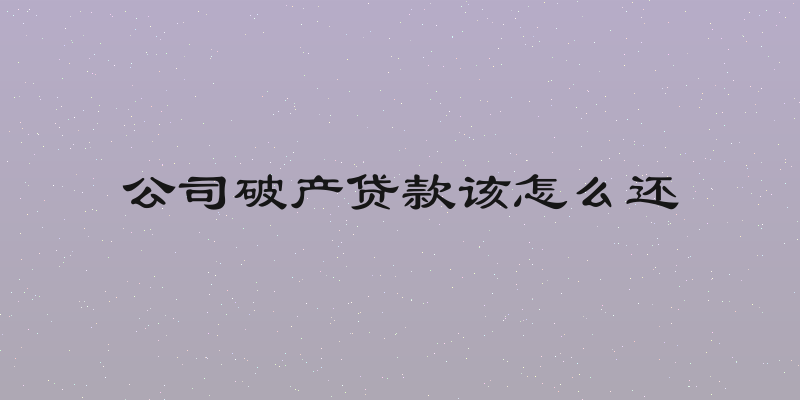 公司破产贷款该怎么还