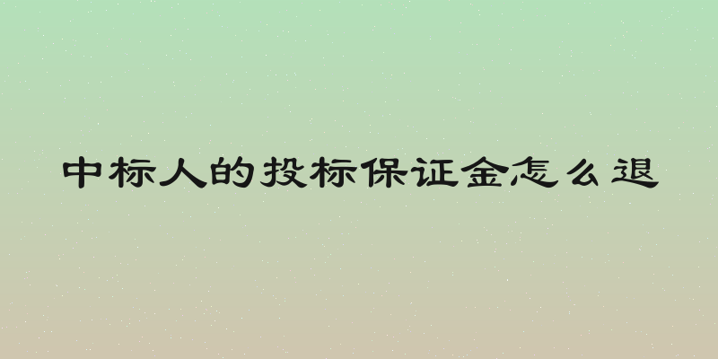 中标人的投标保证金怎么退