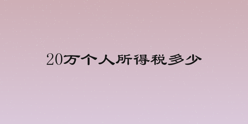 20万个人所得税多少