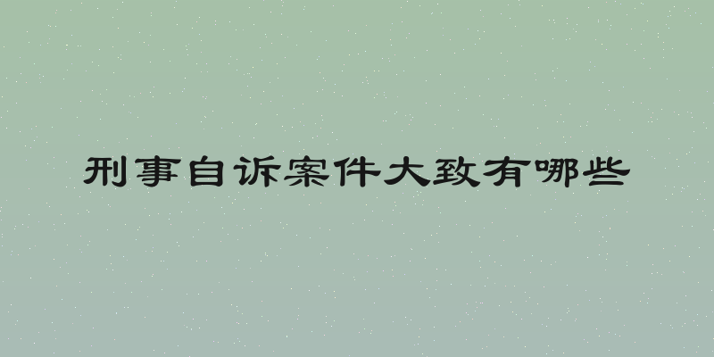 刑事自诉案件大致有哪些