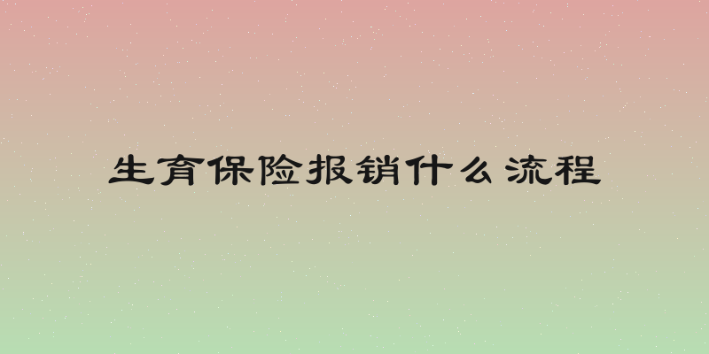 生育保险报销什么流程