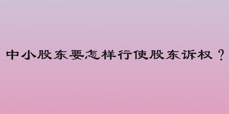 中小股东要怎样行使股东诉权？